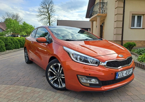 Kia Pro_cee'd cena 39600 przebieg: 117000, rok produkcji 2013 z Wolbrom małe 172